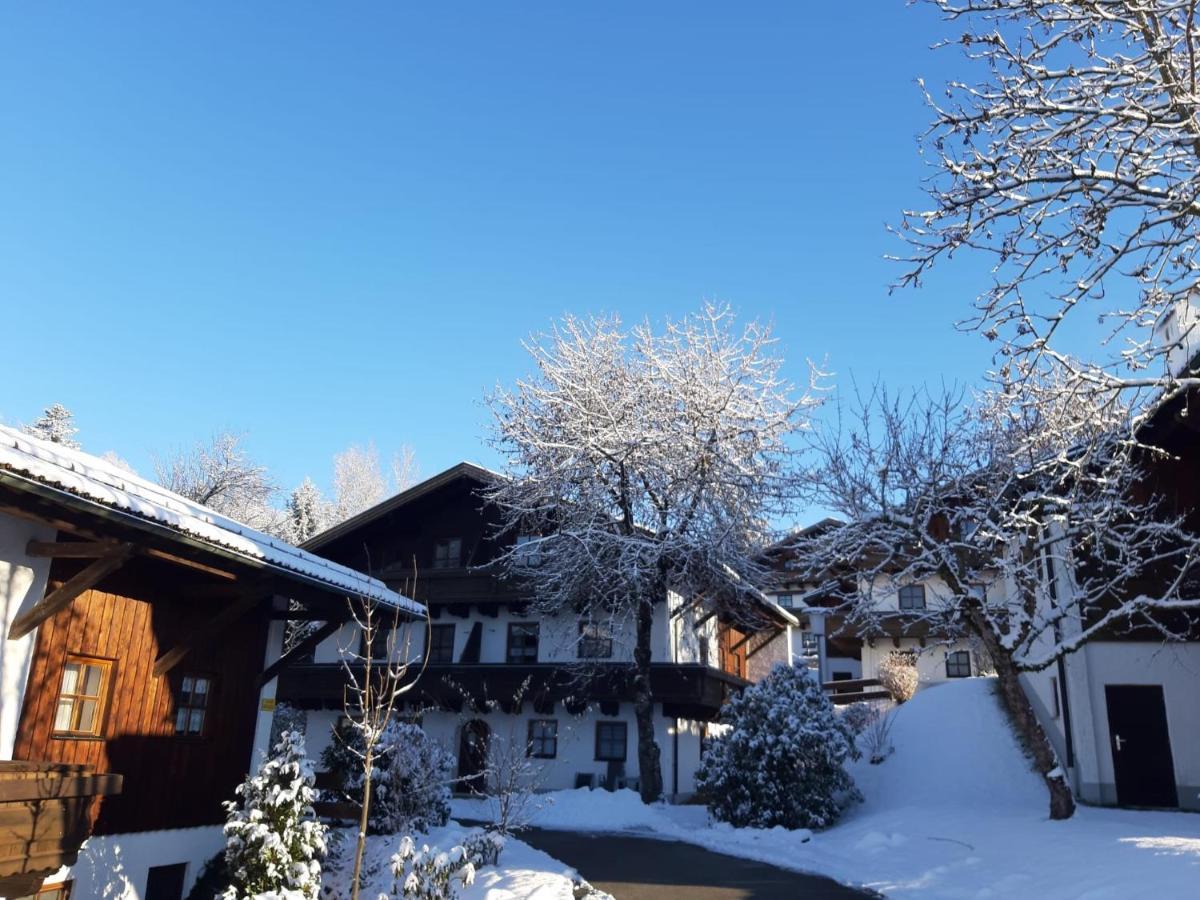 Ferienwohnung Freudensee Im Bayerischen Wald - Pool, Sauna Hauzenberg Exterior photo